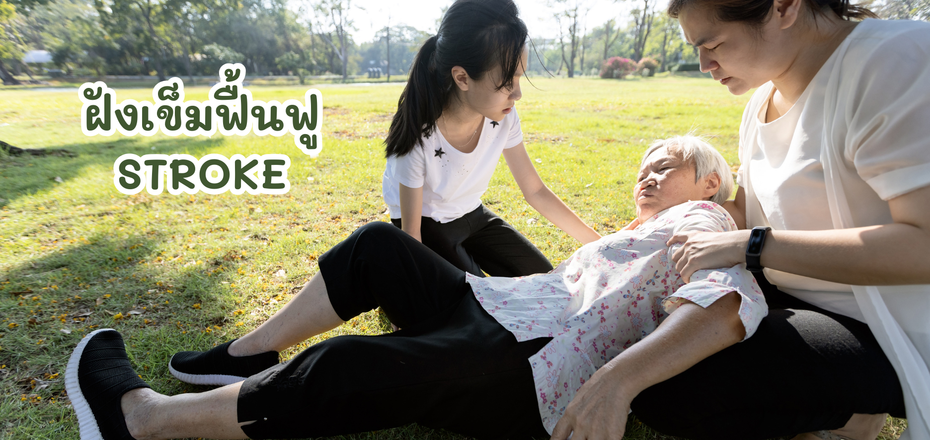 โรคหลอดเลือดสมอง STROKE